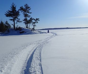 Snowmobile tracks lead across a vast, frozen, snow-covered lake toward a small, pine-covered island under a clear sky.