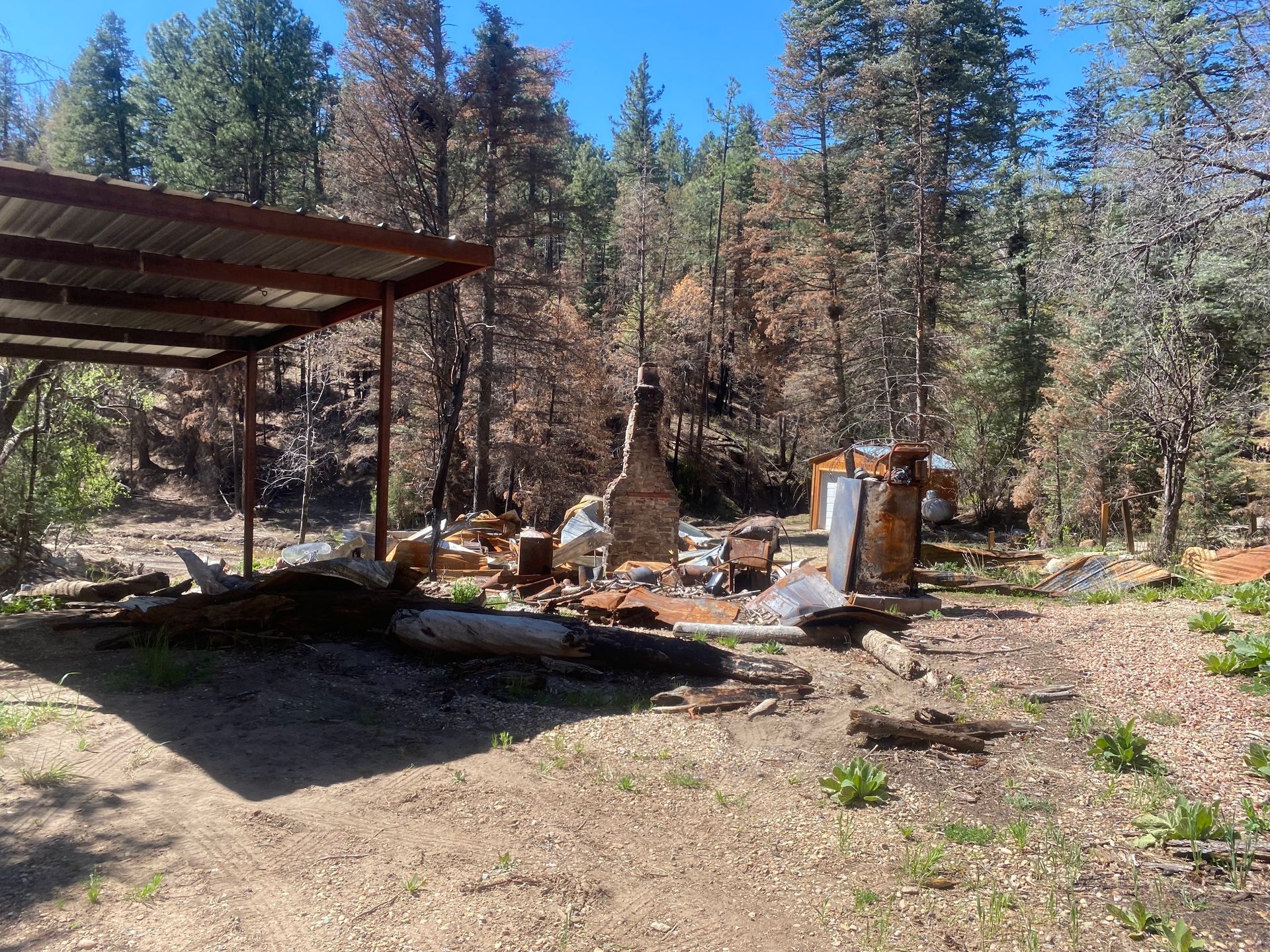 A burned down structure under a metal roof amidst charred trees and forest.