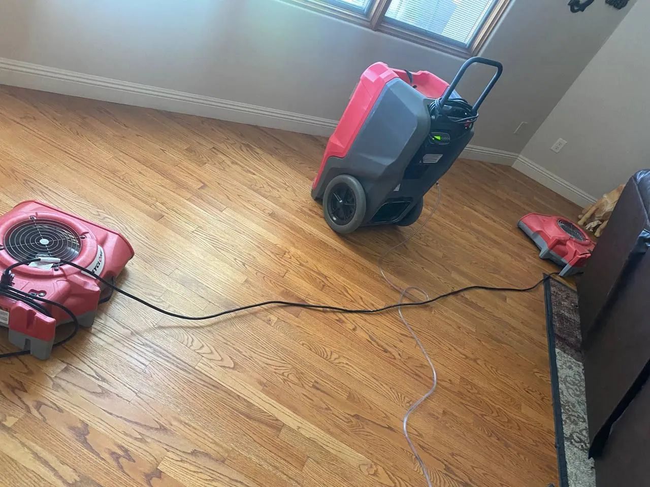 Vacuum cleaners on a hardwood floor with cords near a window and wall.