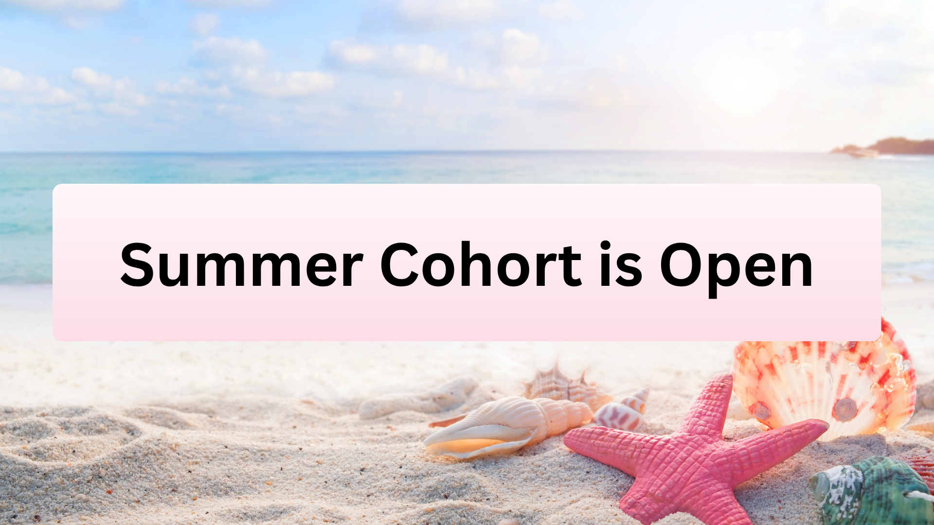 Summer Cohort is Open banner over a beach scene with pink starfish and seashells
