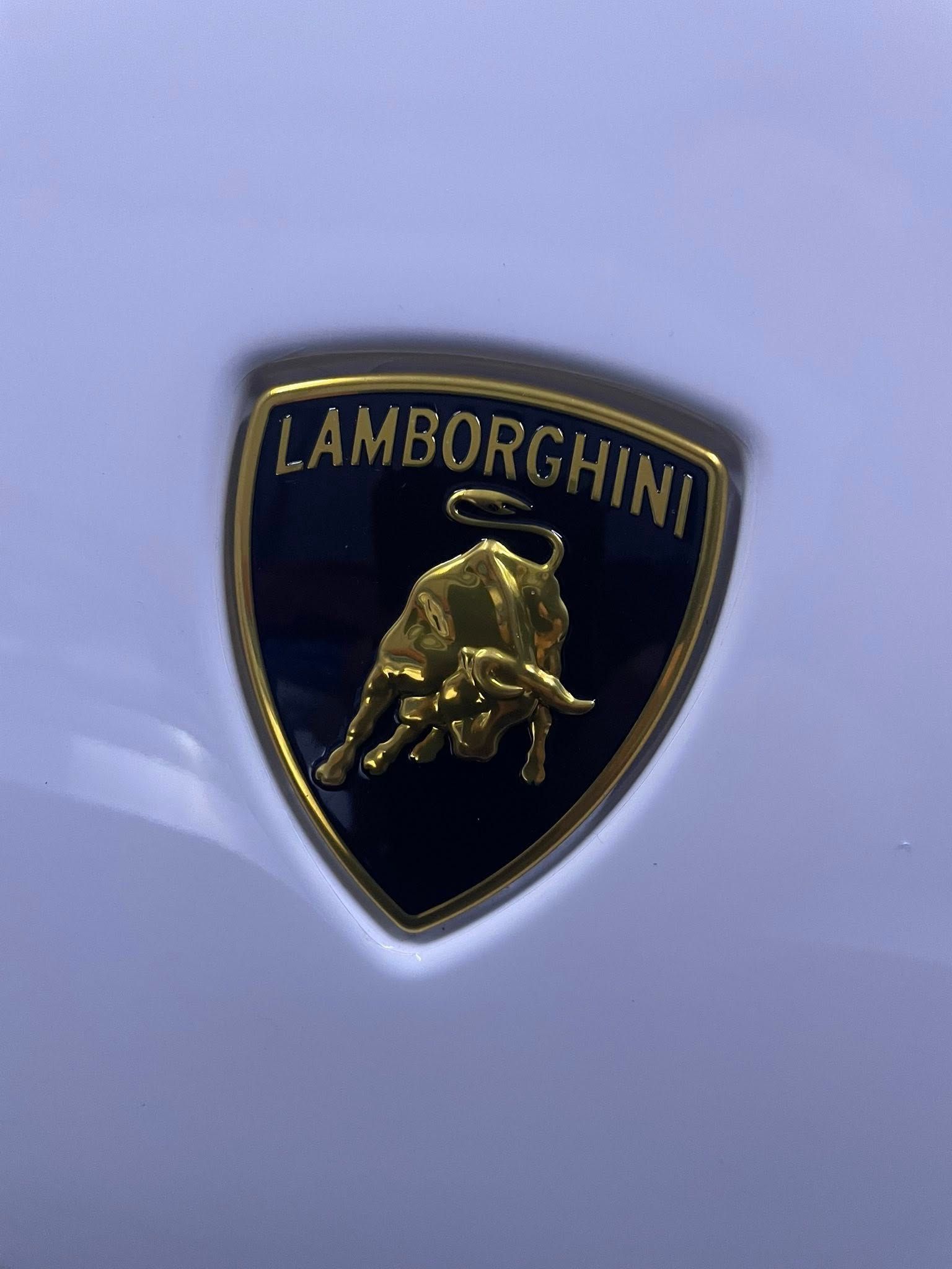 Lamborghini emblem with a gold bull on a black background, framed in gold, on a white surface — Full Throttle Enclosed Car Transport in Kilmore, VIC