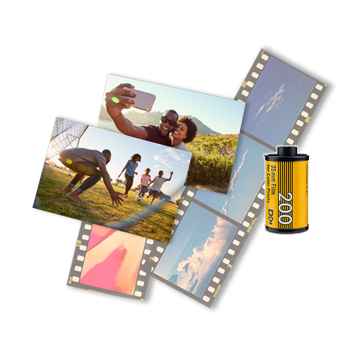 Film Development image