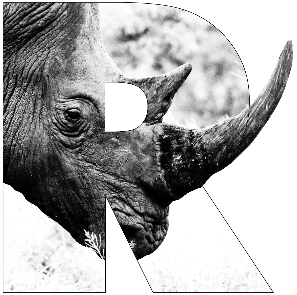 r is for rhino