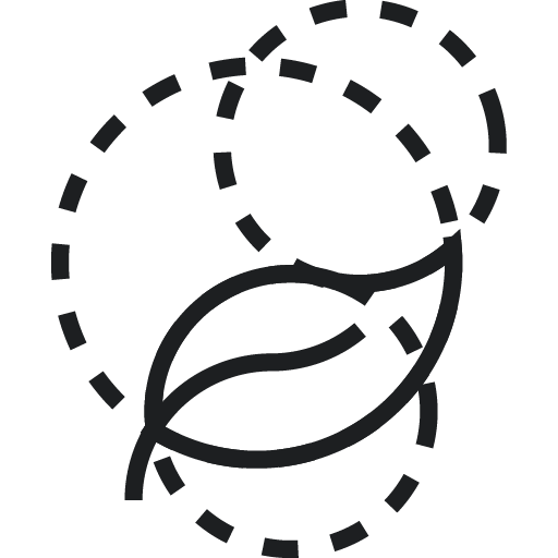 branding, custom logo design Sydney, graphic design business Sydney, logo design, animation, animated logo
