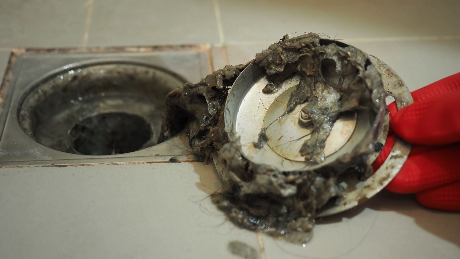 Clogged drain with a dirty removed trap cover held by a red-gloved hand
