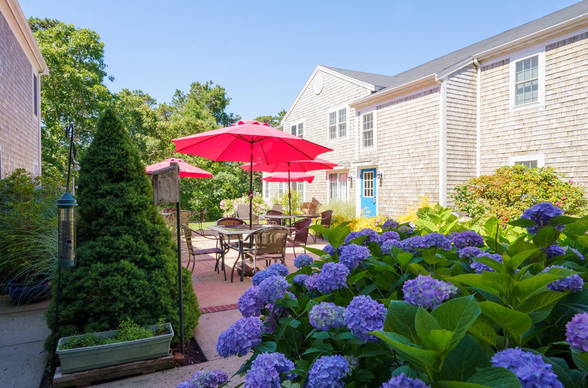 Patio with red umbrella, outdoor table, and blooming purple hydrangeas beside stone townhouses