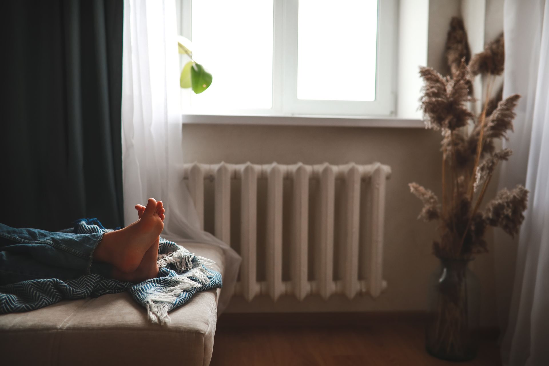 Bare feet sticking out from under a blue blanket on a bed near a window, radiator, and dried flowers.