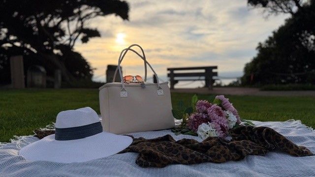 Salt & Stone insulated tote bag by The Stever Co styled for Del Mar beach picnic