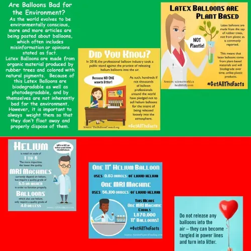 Infographic about balloons and the environment. It shows latex balloons are plant-based, helium uses, and disposal tips.