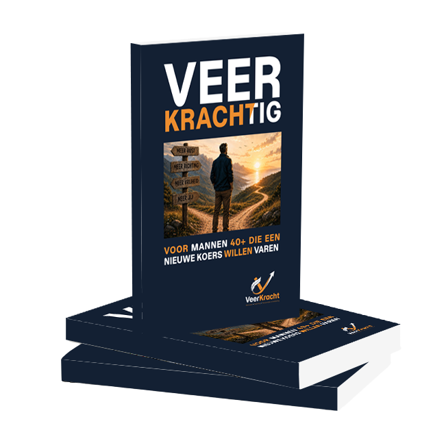 Afbeelding van het e-Book Veerkrachtig