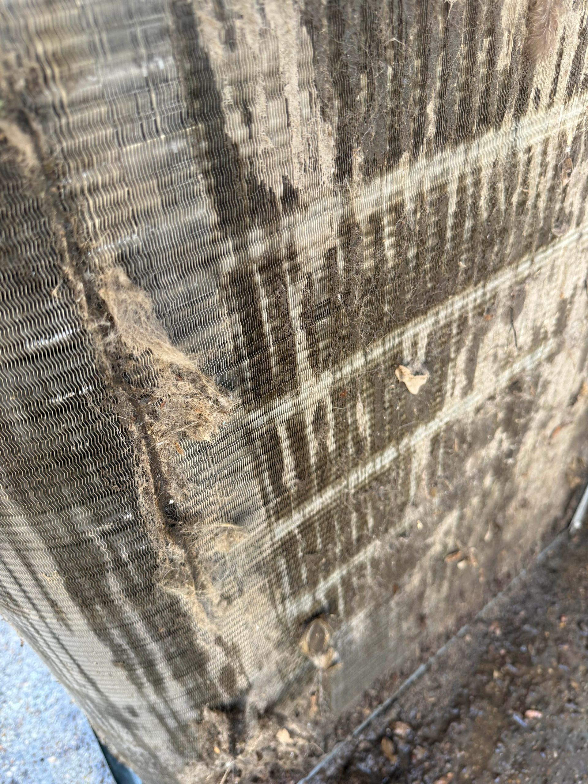 Close-up of a weathered wooden post with peeling bark and dirt at the base.