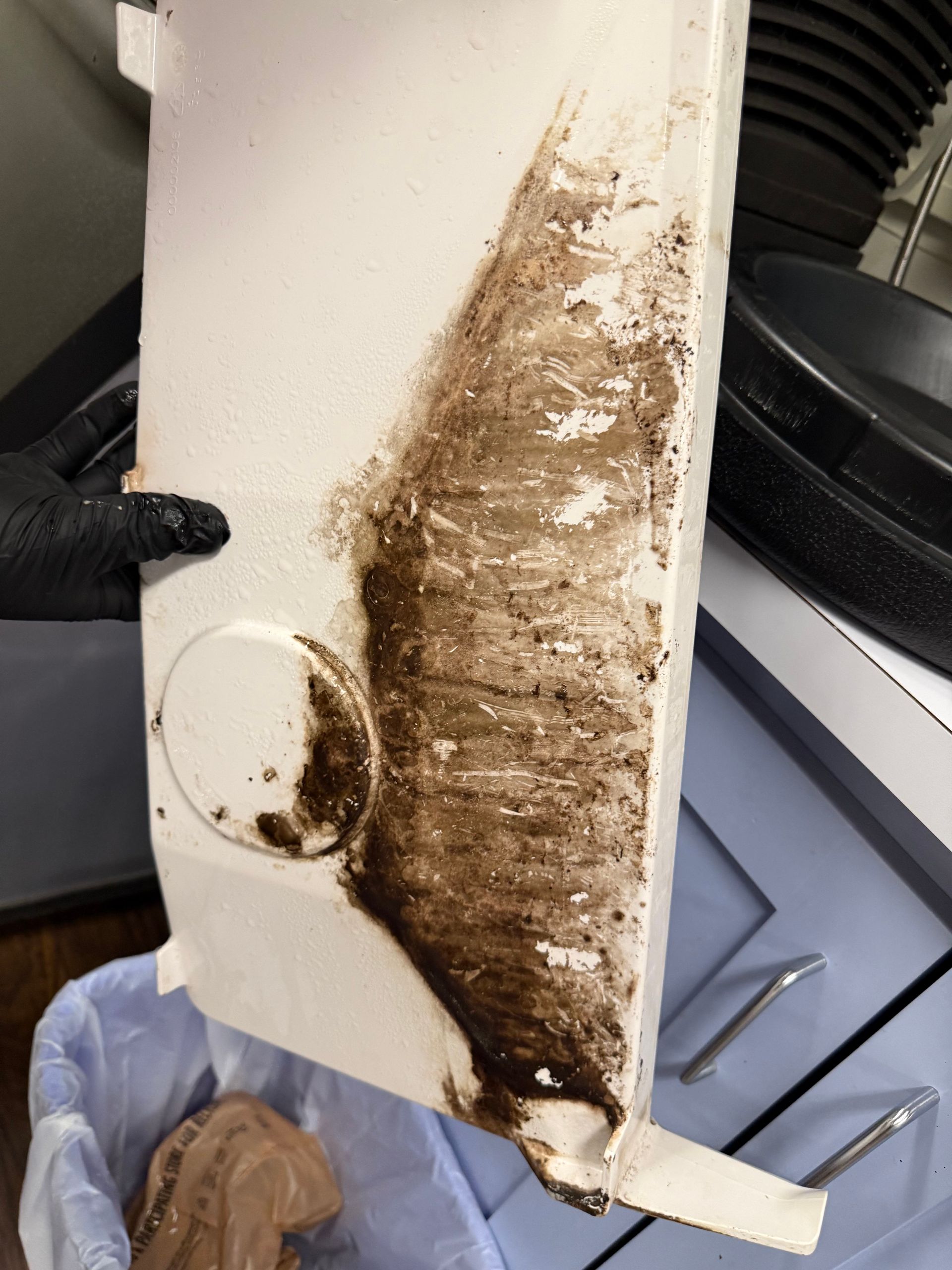 Dirty white panel with a large brown stain or mold patch being inspected with a gloved hand