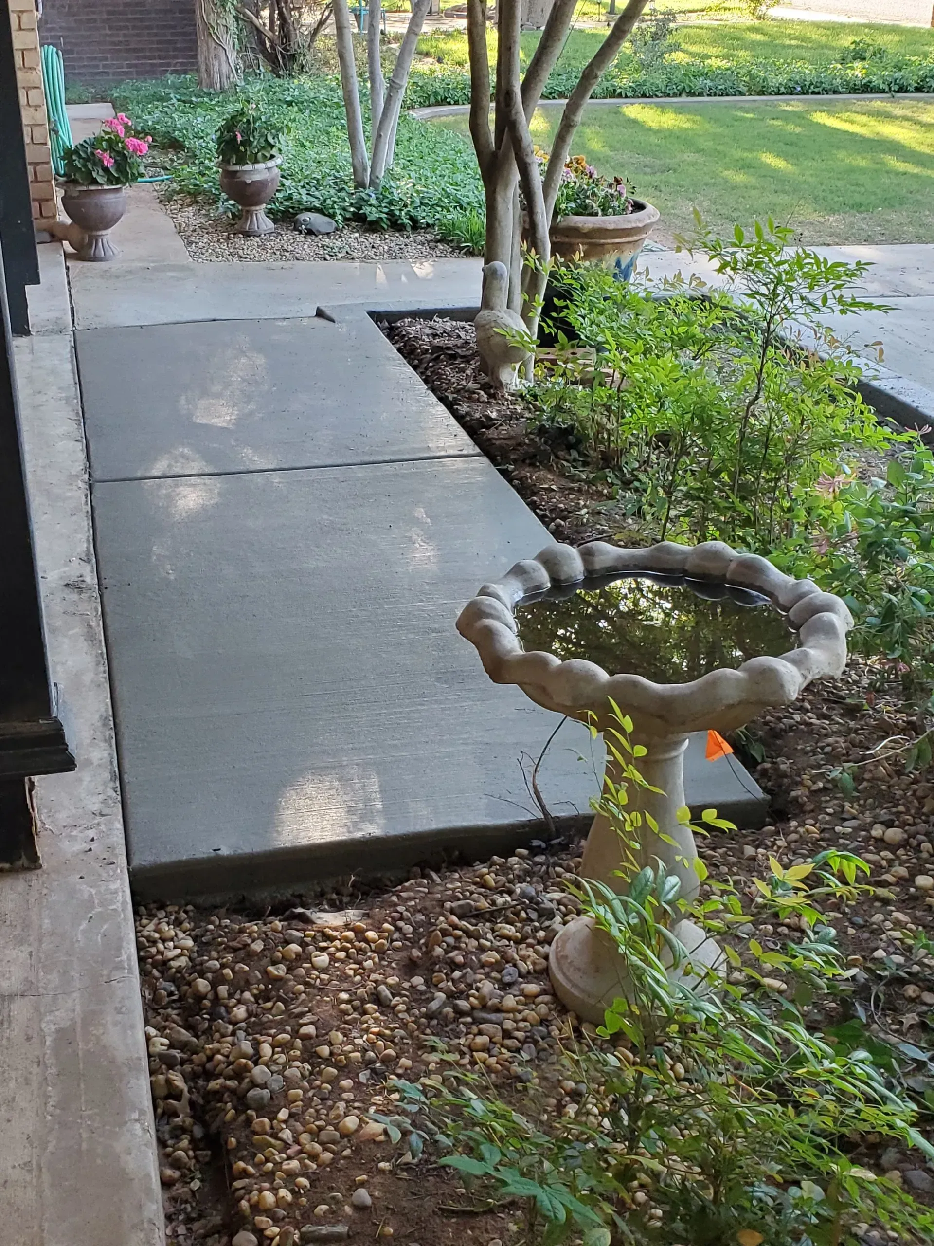 Concrete garden walkway beside a birdbath, with trees and plants along the path.
