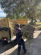 Person loading branches into a trailer on a residential street under a tree