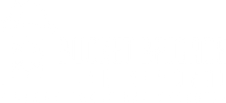 Blank white rectangular area on a light gray background