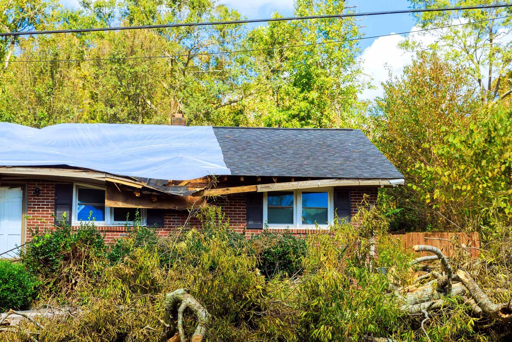 Small brick house with a metal roof surrounded by dense greenery under a blue sky.