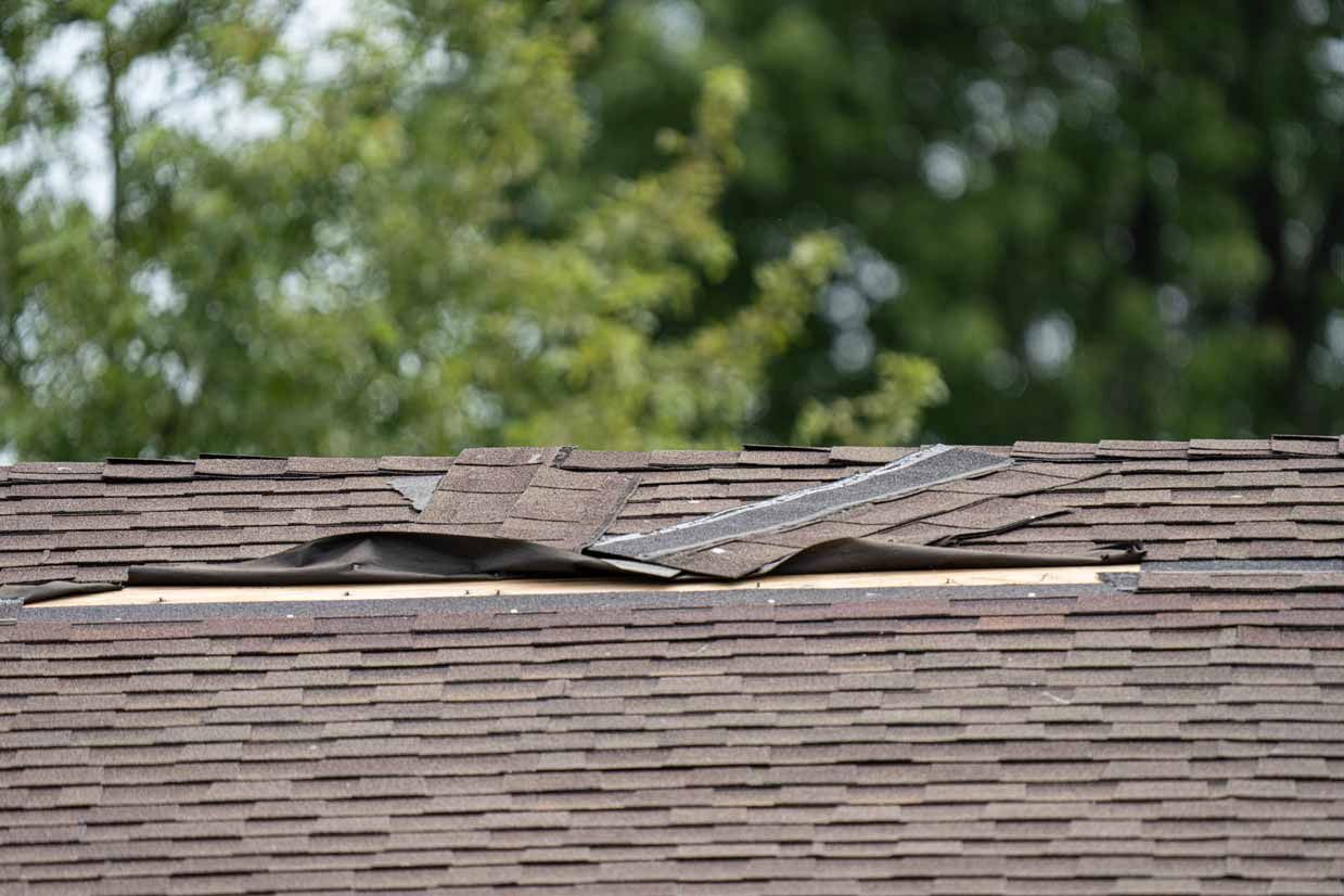 Damaged shingle roof with a torn section near the ridge
