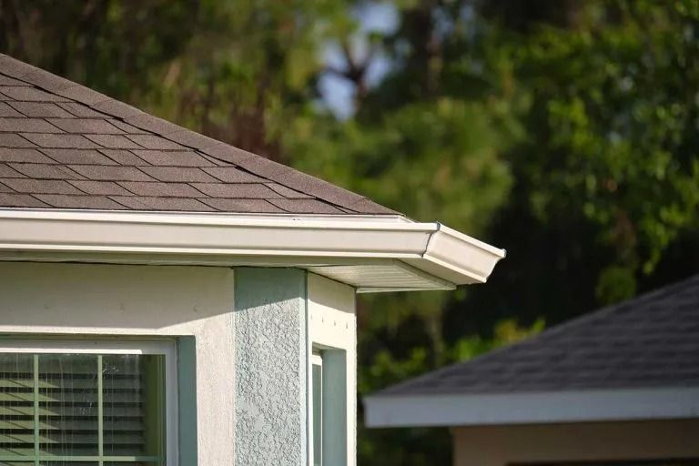 Close-up of a house roof and white eaves with a window and blurred trees in the background