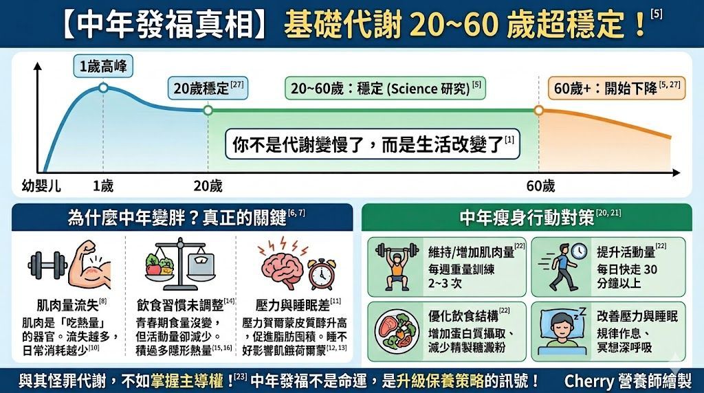 中文保健宣導海報，標題為「中年發福真相 基礎代謝20~60歲超穩定！」，含圖表與健康建議。