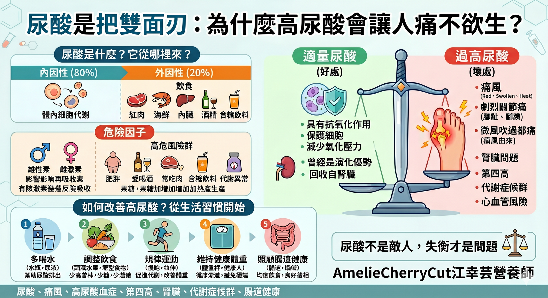 中文資訊圖表，解釋尿酸是把雙面刀與高尿酸健康風險，含飲食與痛風示意圖