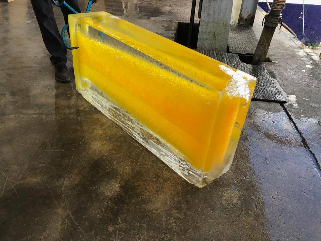 POLAR HIELO - Hielos