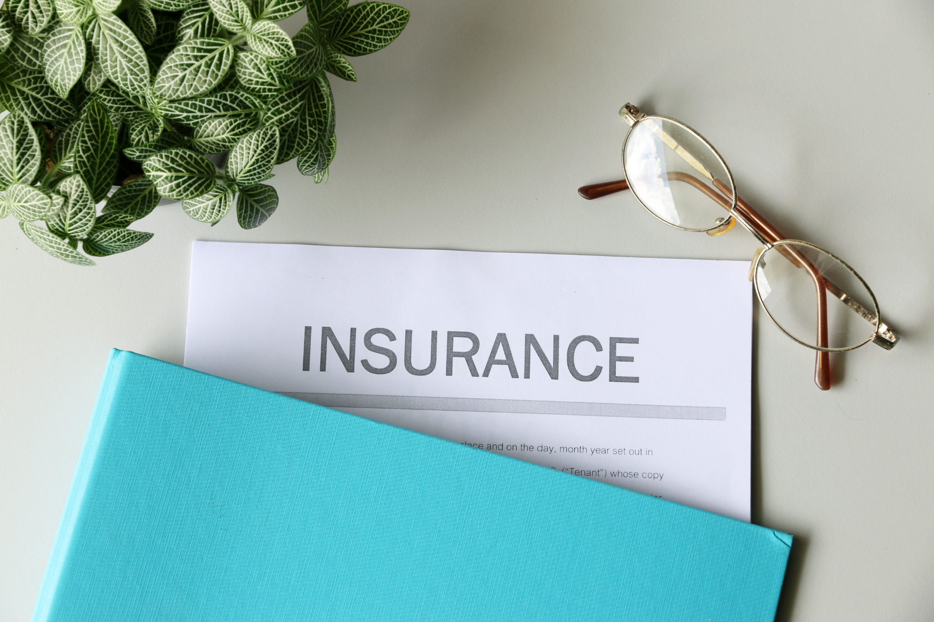 Insurance document with glasses, turquoise folder, and plant on a white desk