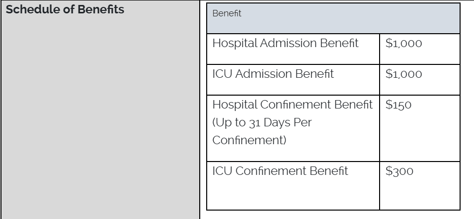 Shows a schedule of benefits for an example hospital indemnity plan. Some hospital indemnity plans cover childbirth in a hospital.