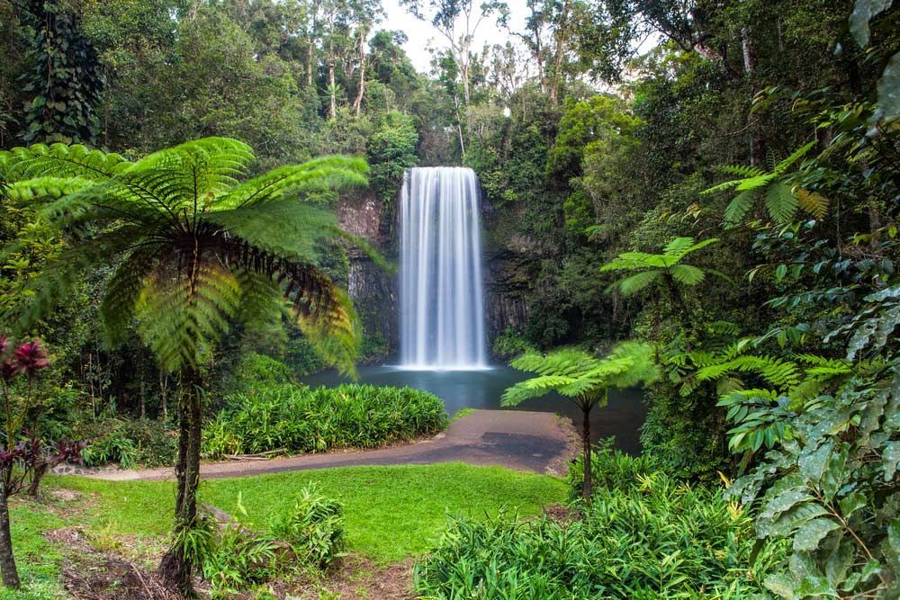 Millaa Millaa Falls in the Atherton Tablelands — O'Brien Carglass & Tinting in Atherton, QLD