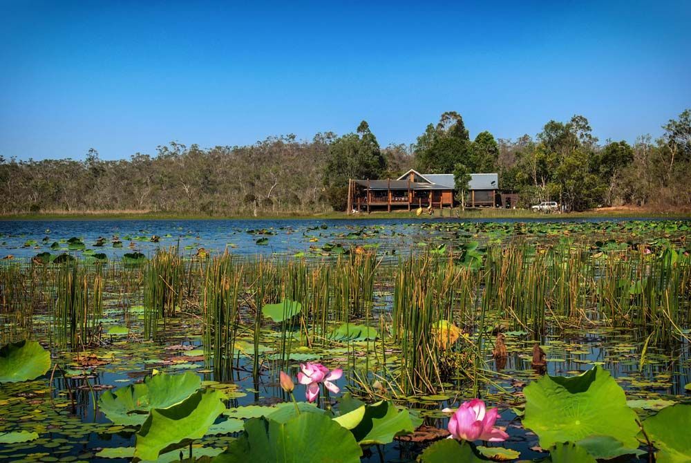 The Mareeba Wetlands near Cairns — O'Brien Carglass & Tinting in Mareeba, QLD