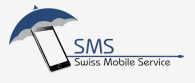 romain faure consultant seo