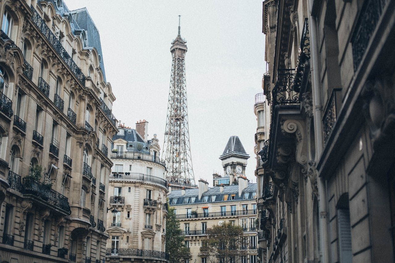 consultant seo paris