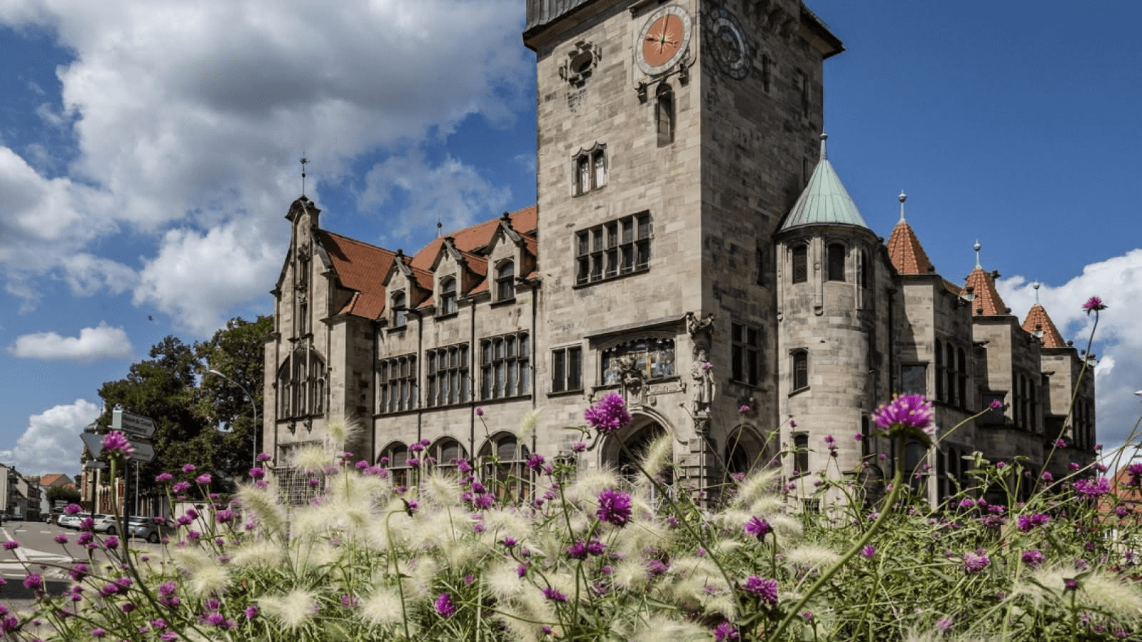 consultant referencement haguenau