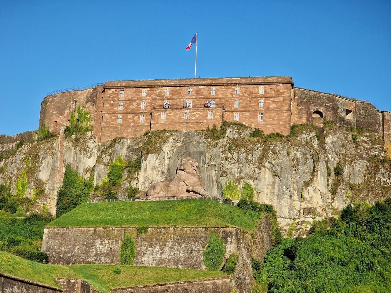seo belfort