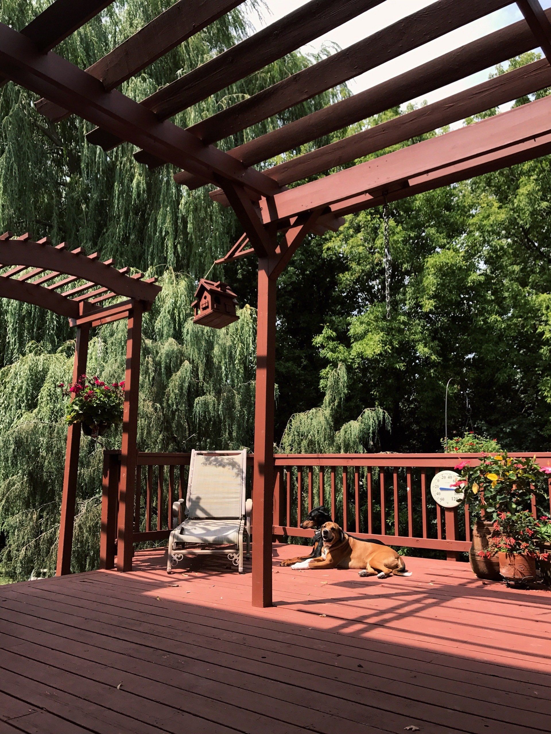 Deck_And_Fence_Arga_Renovation