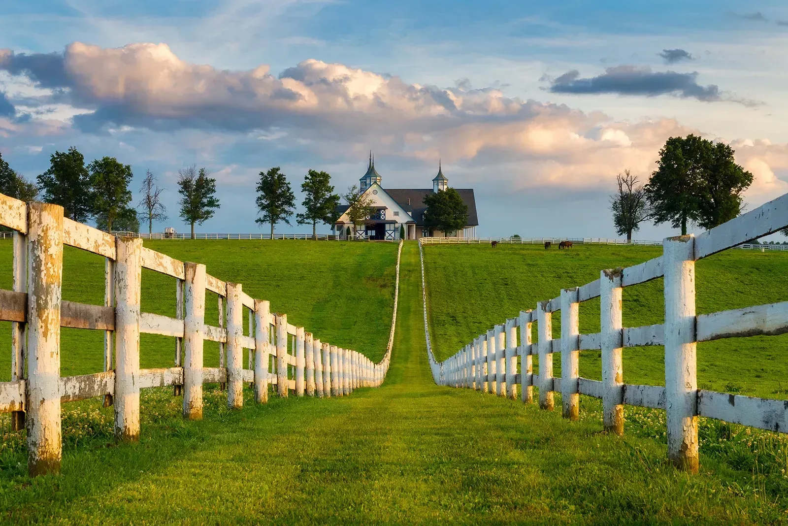 A white fence leading to a house on top of a grassy hill.