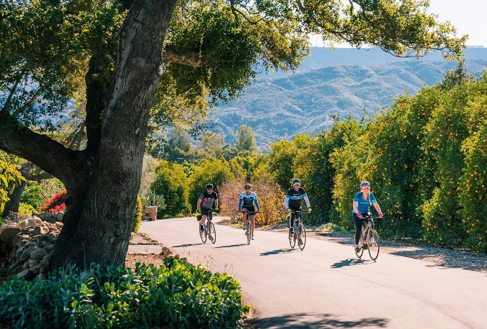 A group of people are riding bicycles down a road.
