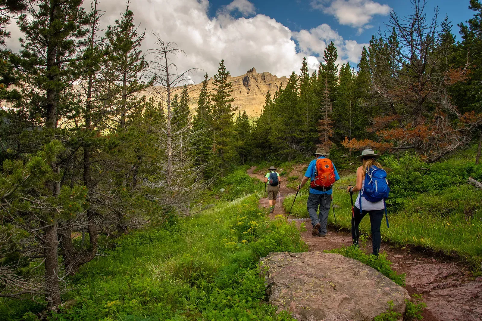 Two people are hiking down a trail in the woods.