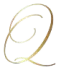 Q Financial Services, Inc. icon