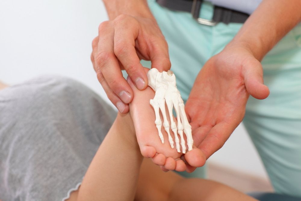 A Person Is Holding A Model Of A Child's Foot — Lake Macquarie Podiatry in Belmont, NSW