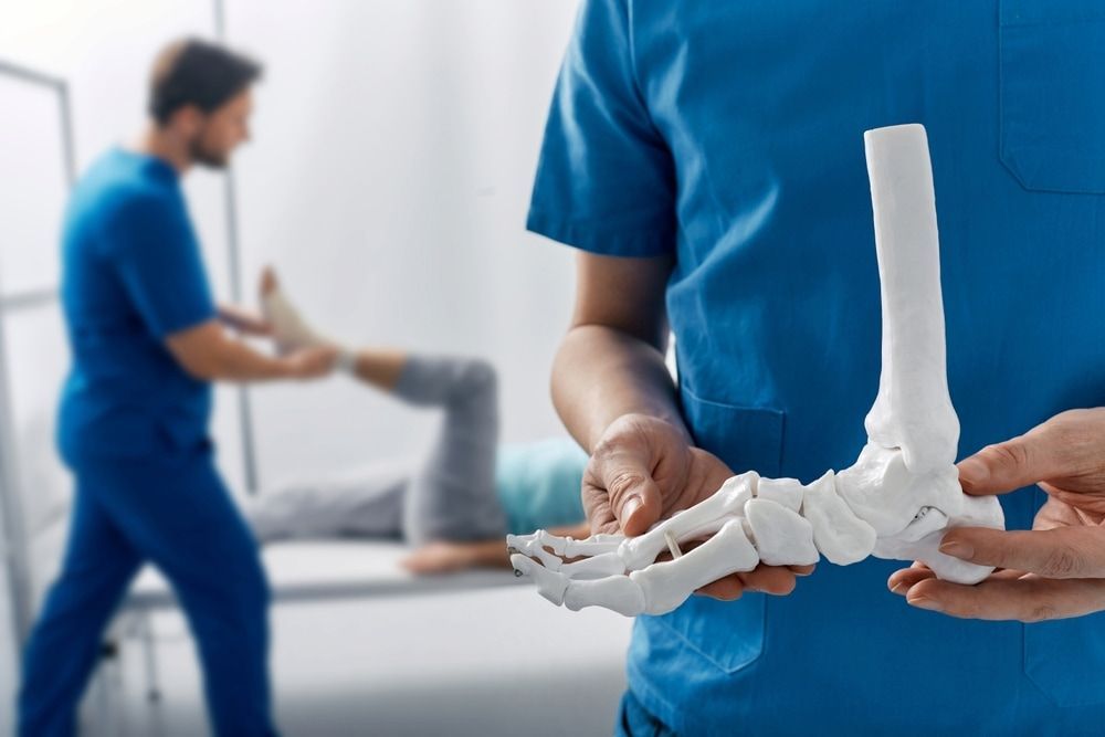 A Doctor Is Holding A Model Of A Foot And Ankle — Lake Macquarie Podiatry in Belmont, NSW