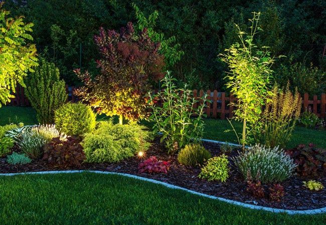 landscaping example with lighting
