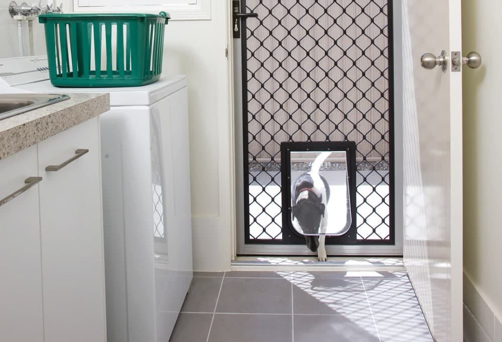 Wooden Door With a Black Pet Door, Light Wood Floor — All Security Screens & Repairs In Bungalow, QLD