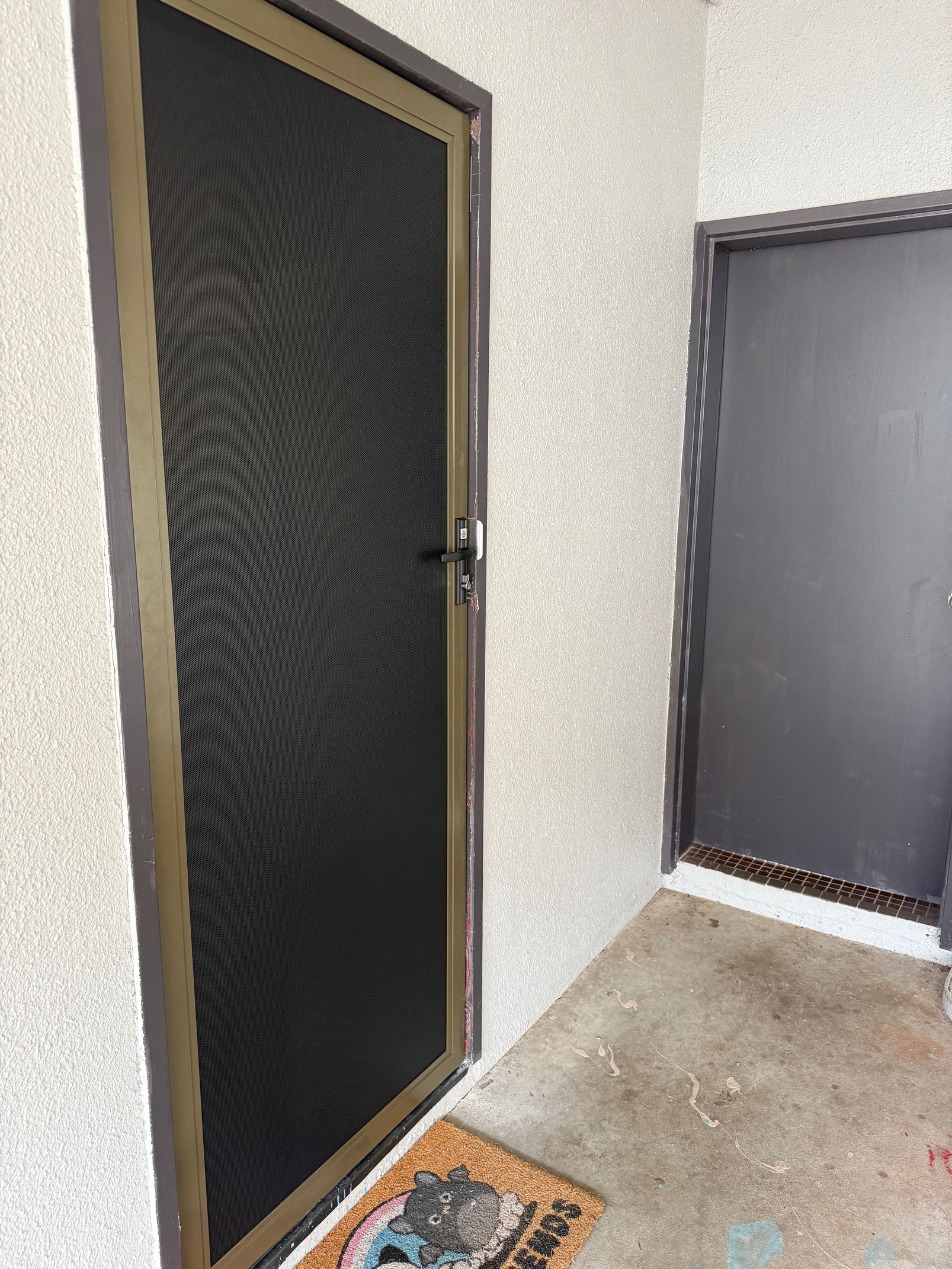 Screen Door With Mesh, Next to a Closed Dark Door — All Security Screens & Repairs In Bungalow, QLD