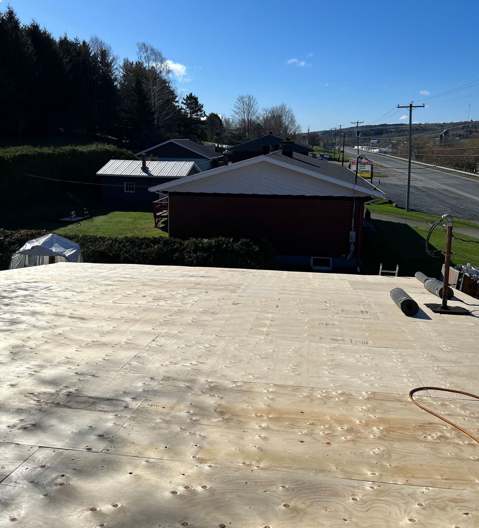 Vue ensoleillée depuis le toit d'une rue de banlieue, d'arbres et d'un garage sous un ciel bleu dégagé