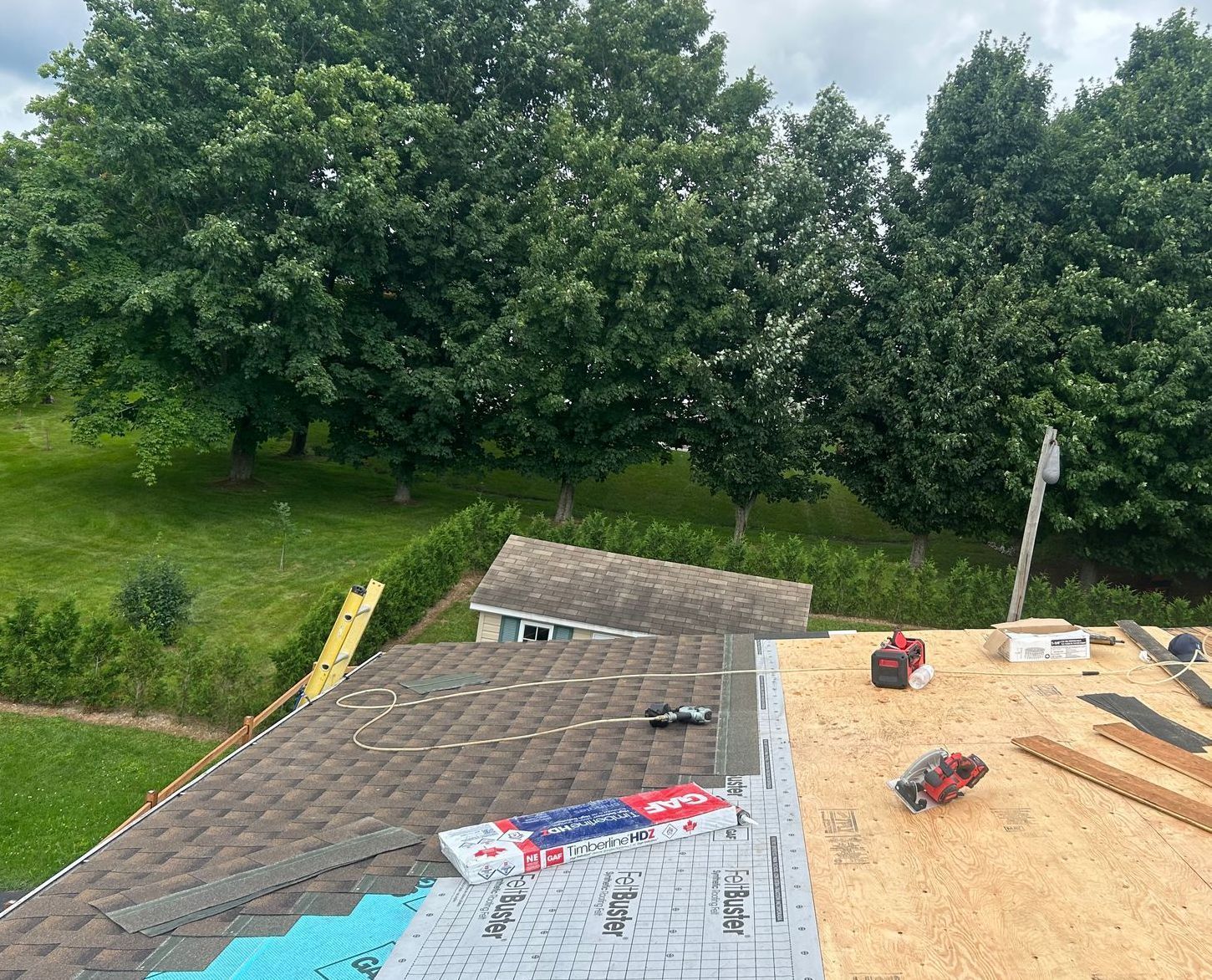 Toiture en construction à côté des arbres, avec des bardeaux, du contreplaqué et des outils visibles.