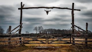 texas farm gate schertz tx