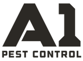 Decorative Logo 