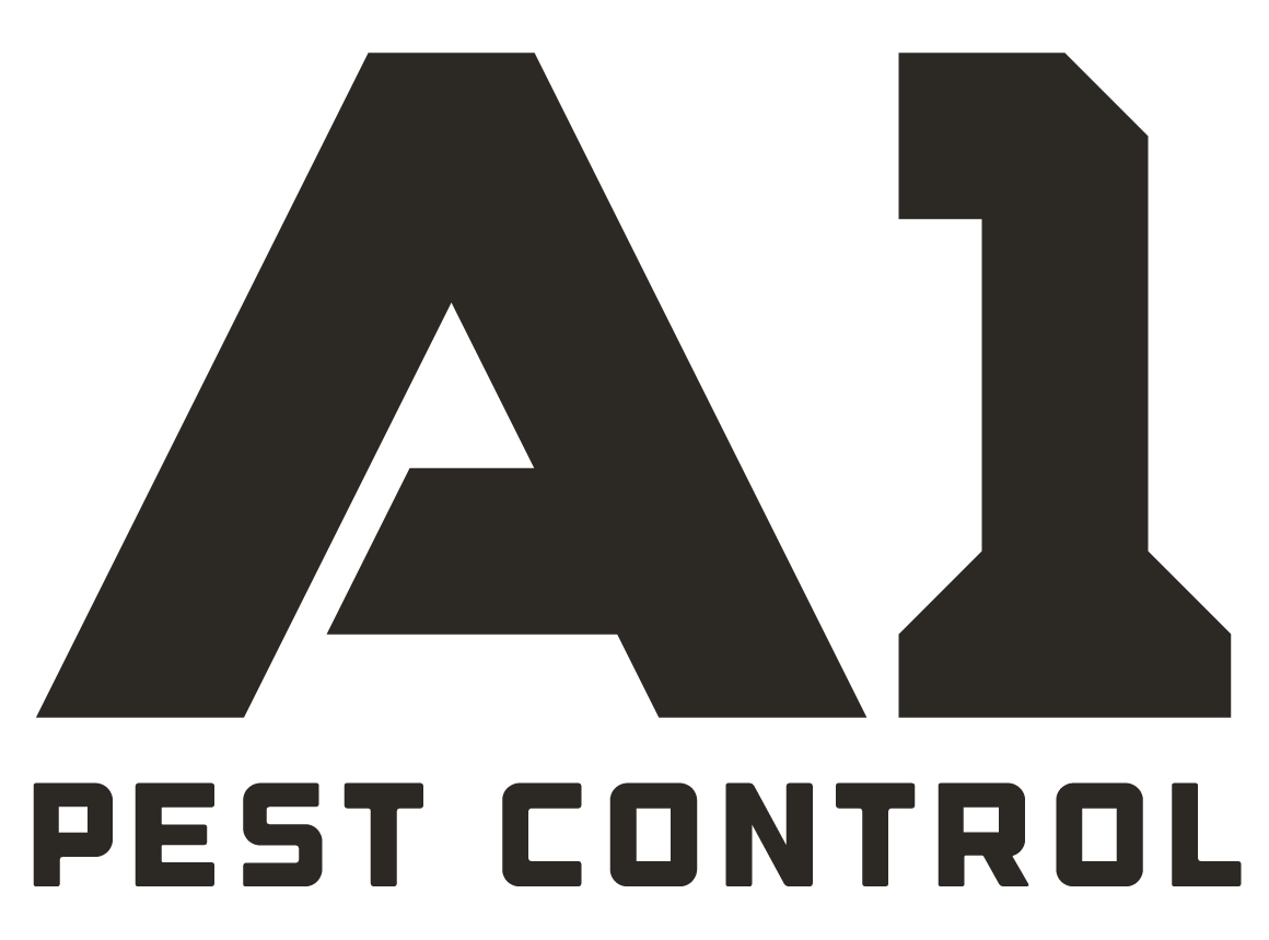 Decorative Logo