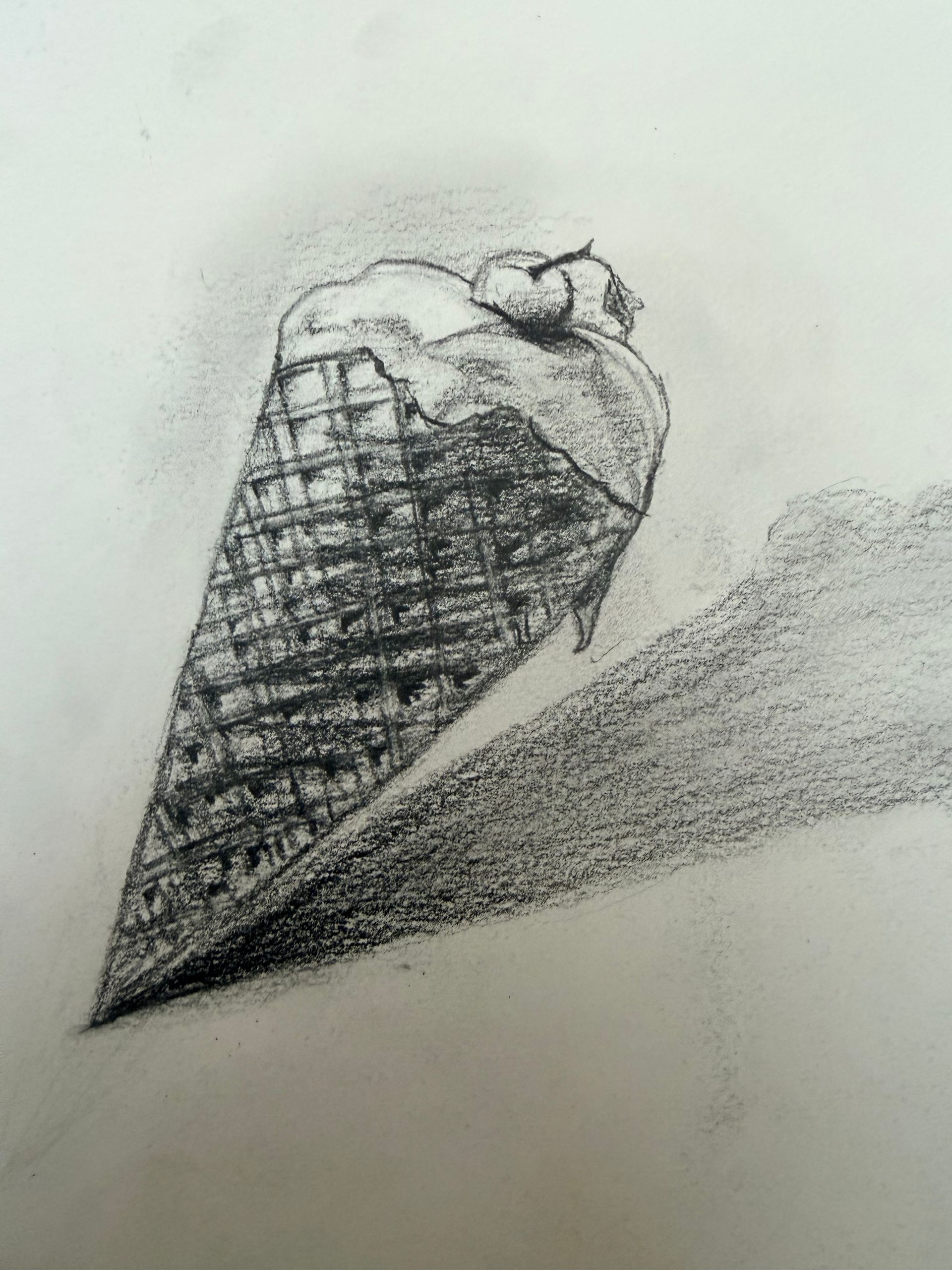 Hand die een schets van een bladerrijke plant op wit papier vasthoudt, liggend op een bureau.
