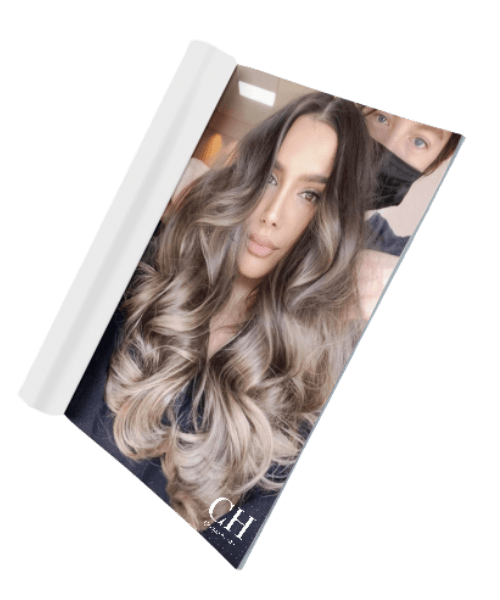balayage lookbook